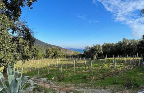 Agriturismo Le Sughere - Foto 22