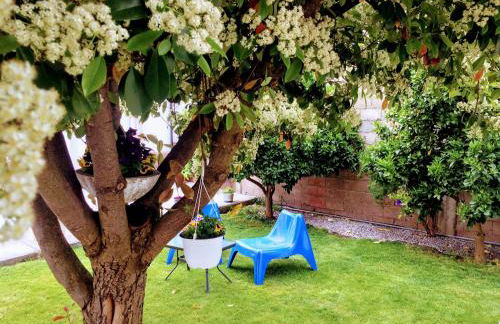 Casa de Férias MariCeu Mirandela - Foto 21