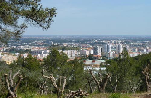 Casal das Oliveiras - Foto 48