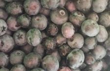 Górska Polana, Stronie Śląskie - Młynowiec - Foto 37