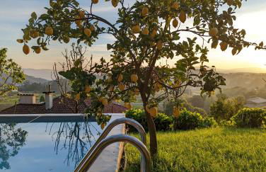 Casa da Mata - Foto 36