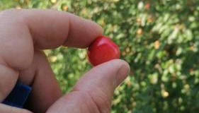 Vercelli suite - Foto 4