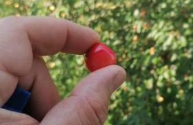 Vercelli suite - Foto 4