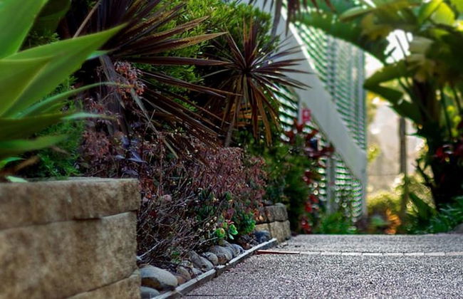 Avoca Palms Resort Apartments - Foto 30