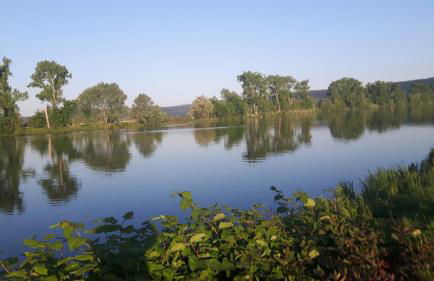 Apartment Schweich-Issel Familie Lentes NEU RENOVIERT - Foto 32