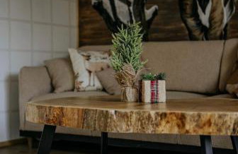 Luxury Chalet Kajmer - Foto 15