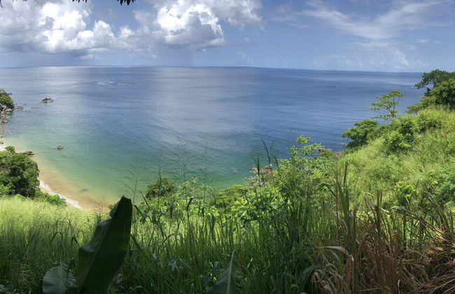 Castara Inn - Photo 67