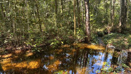 Chacara Refugio das Babaçus - Foto 2