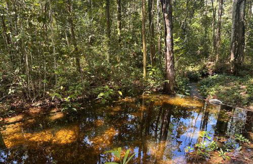 Chacara Refugio das Babaçus - Foto 2