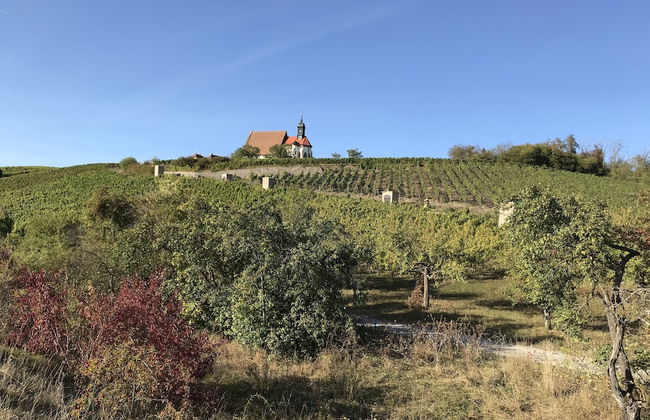 Ferienwohnungen Scheuring - Photo 49