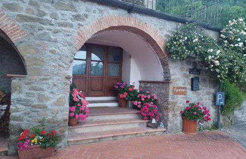 Appartamento DANIELA - Foto 3