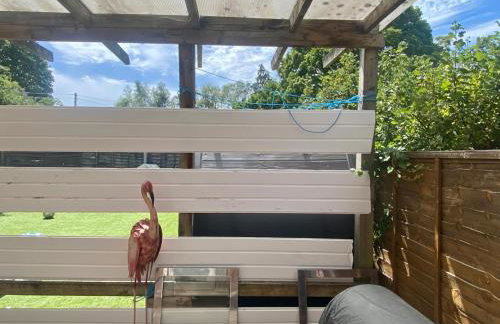 1 Bedroom studio - Photo 7