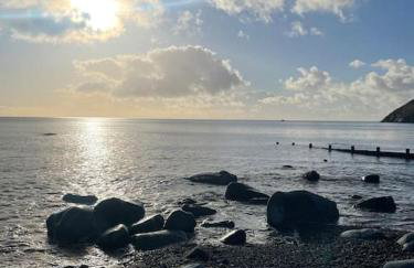 Pen-Y-Bryn Cottage - Foto 6