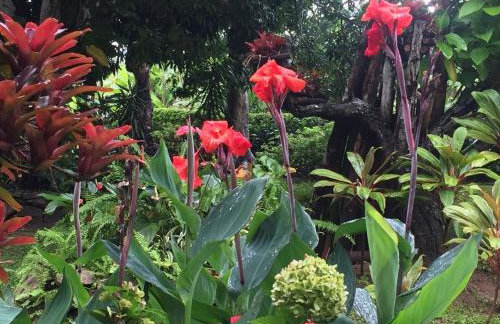 Sitio Alto da Montanha - você em paz com a natureza - Foto 53