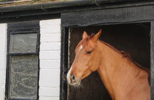 Filbert Pod - Foto 22