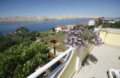 Apartments Roza - Foto 43