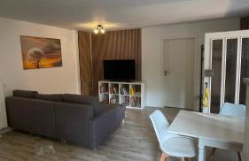 OASE im grünen Hinterhof, EG, Ruhe, Terrasse, Carport, free PayTV, Kaffee&Tee, Fahrräder - Foto 14