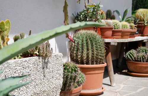 Schupferhof - Foto 11