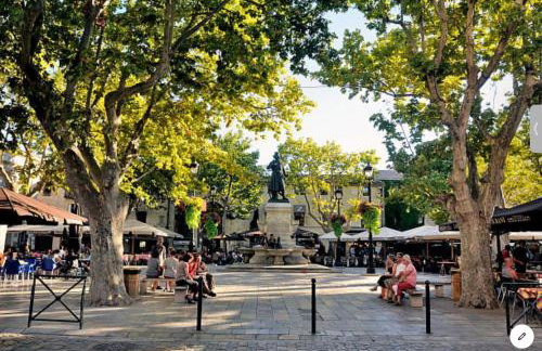 Appartement Spacieux au cœur du GRAU - Foto 38