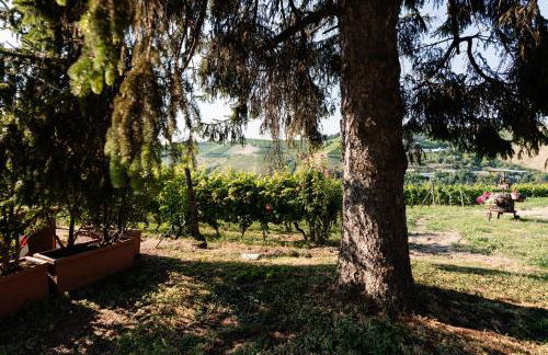 Cadgal - Tenuta Valdivilla - Photo 29