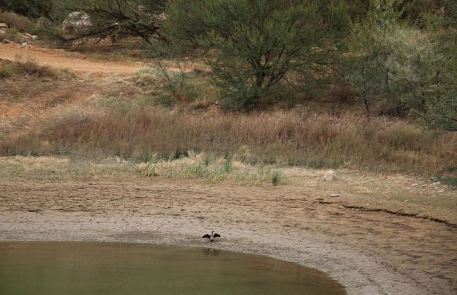 Matjiesvlei Retreat Katrien - Foto 26