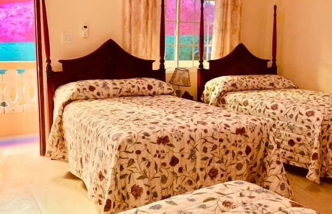 Solet's Paradise Negril - Photo 16