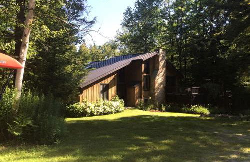 Spacious Mountain Cabin with a Sauna and Ski Trails in Jamaica, Vermont - Foto 1