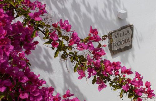 Kavos Hotel Naxos - Foto 16