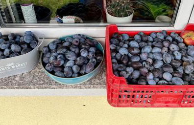 Green House kuća s 4 spavaće sobe - Foto 46