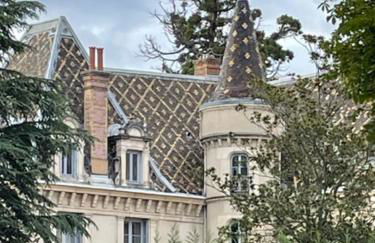 Grand appartement d'exception au Château Randin - Foto 33