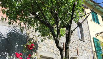 Il Nido Di Pesca - Foto 1