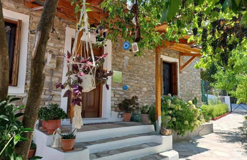 Zelis In Pelion Greece - Foto 76