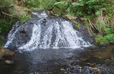 gîte m et m - Foto 36