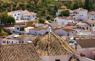 La Madroñala - Foto 23