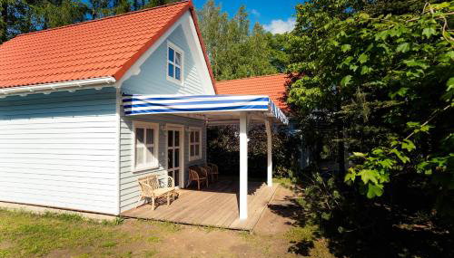 Kwiat Paproci - Foto 4