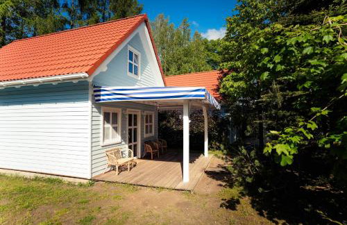 Kwiat Paproci - Foto 4