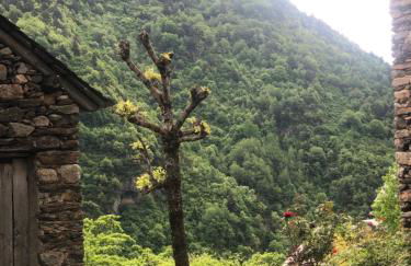 Duplex a la plaça Major - Foto 35