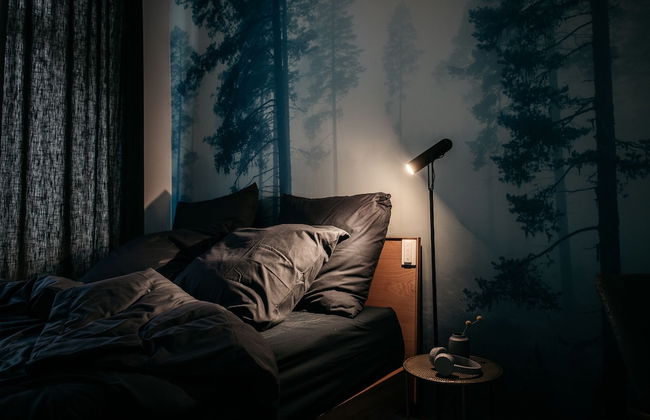 URBN Dreams - Misty Forest - Foto 1