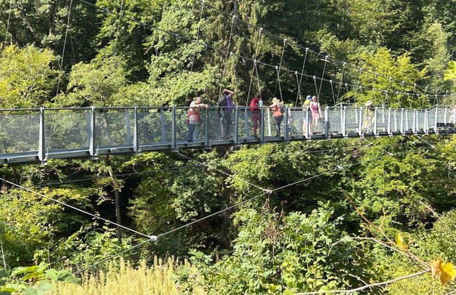 Olsdorf Forestview Apartment - Photo 37