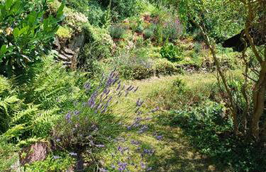 Ferienwohnung Klug - Photo 28