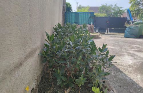 Cozy house between Disney and Paris - Foto 3