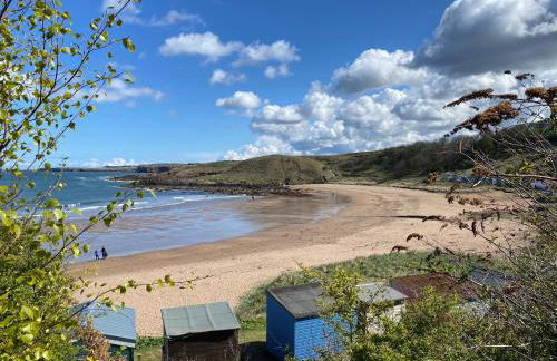 1 The Bay - Stunning contemporary flat on the Scottish coast - Foto 32