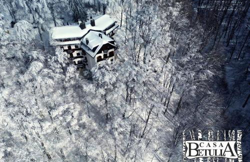 Le Case Nel Bosco Terminillo - Foto 59