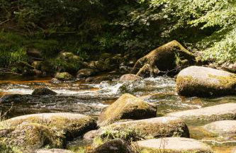 Fox Tor Apartment - Foto 15