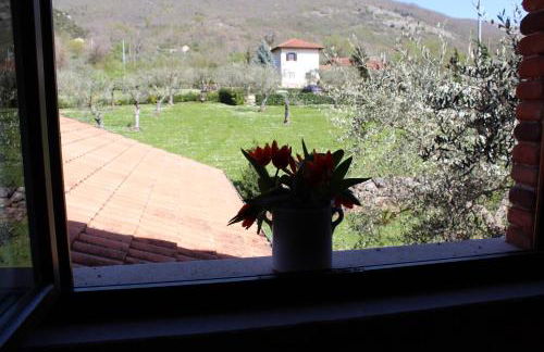 Agriturismo IL CASTAGNETO - Foto 49