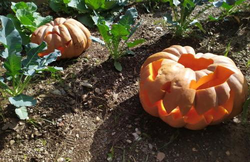 Barnet House Lamezia - Foto 39