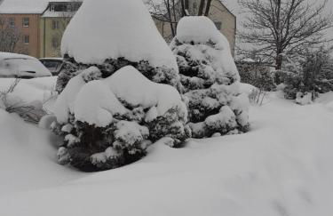 Ferienwohnung Zern - Foto 15