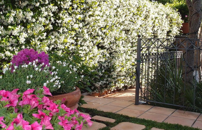 3197 Villa Delle Camelie by Perle di Puglia - Foto 17