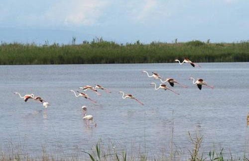 maison proche de la plage pour des vacances zen - Foto 20