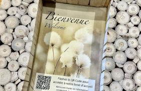 Chalet Les Cocales - Séjour et nuitées - Appartement Pin Cembro - Foto 21